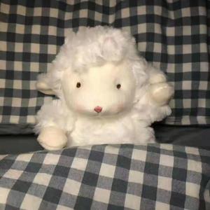 美丽姑娘高清免费观看23集预告
