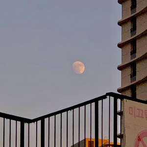 美丽姑娘高清免费观看23集预告
